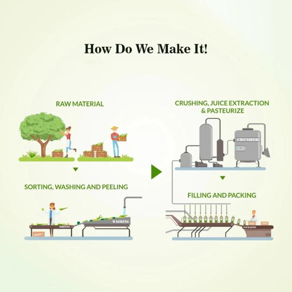 Swadeshi Memory Juice 500 ml - Ayurvedic Juices