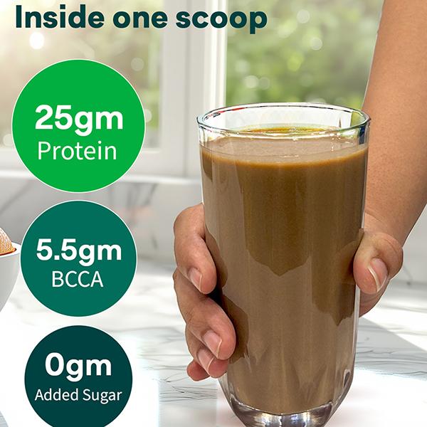 Oziva Bioactive Plant Protein (25G Vegan Protein) For Endurance & Muscle Recovery Plant-Based Protein (500G, Chocolate) 1's - Multi-Vitamins