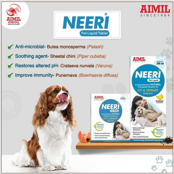 AIMIL Neeri PET Tablets 30's - Pet Healthcare