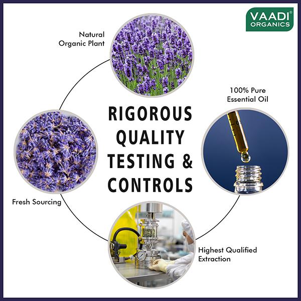 Vaadi Herbals Lavender Essential Oil - Prevents Hairfall, Relieves Stress, Soothes Skin - 100% Pure Therapeutic Grade 10 ml - Essential Oils