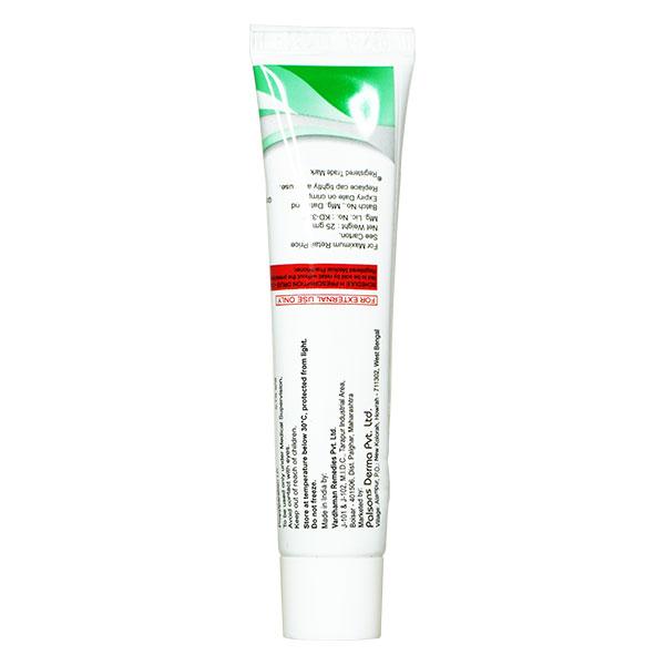 STERNON G Gel 25gm - Skin Infections-Toc