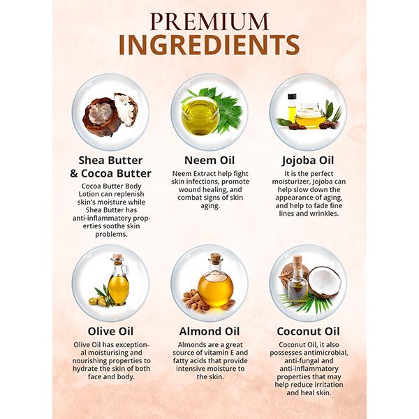 Spantra shea Butter and cocoa Butter Body Lotion 300 ml - Lotions & Creams