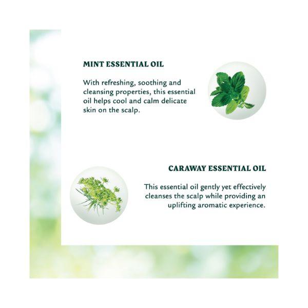 Rene Furterer Naturia Dry Shampoo 150 ml - Dry Shampoos & Conditioners