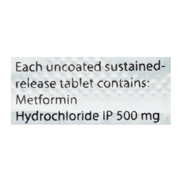 Metlong 500mg Tablet 10'S - Diabetes-Ant