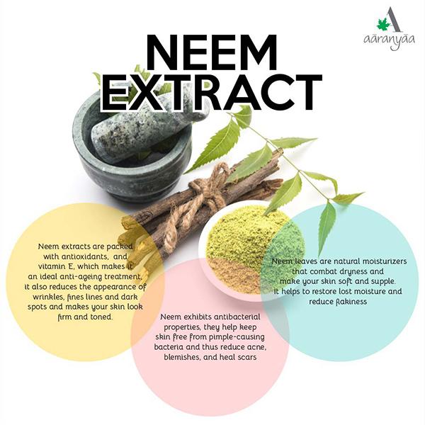 Aaranyaa Sulphate Free Face Wash Neem Tulsi Moringa 110 ml - Face Wash & Cleansers