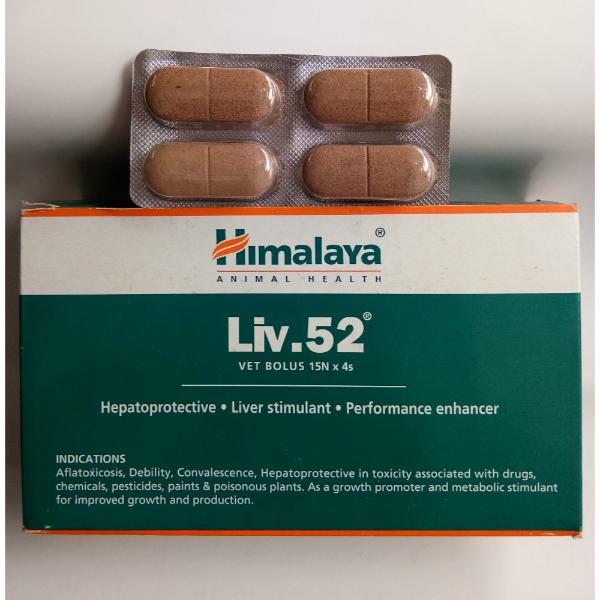 Netmeds | Liv 52 Vet Bolus (Cattle) 1's