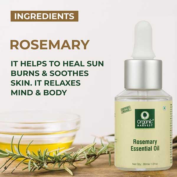 Organic Harvest Rosemary Essential Oil 30 ml - Essential Oils