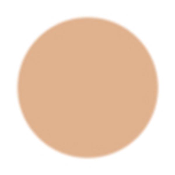 PAC Studio HD Concealer Sheesham 12 gm - Concealer