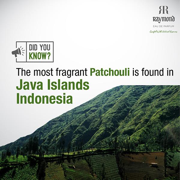 Raymond Java Patchouli Edp Perfume for Men 45 ml - Men Perfumes (Edt/Edp)