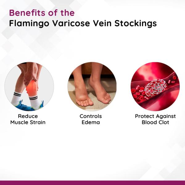 Flamingo Varicose Vein Stockings (OC - 2012) (XXL) - Knee/Leg Supports