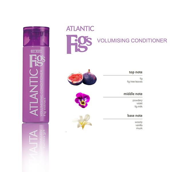 MADES Body Resort Solid Purple Pet Bottle Conditioner 250 ml - Conditioners