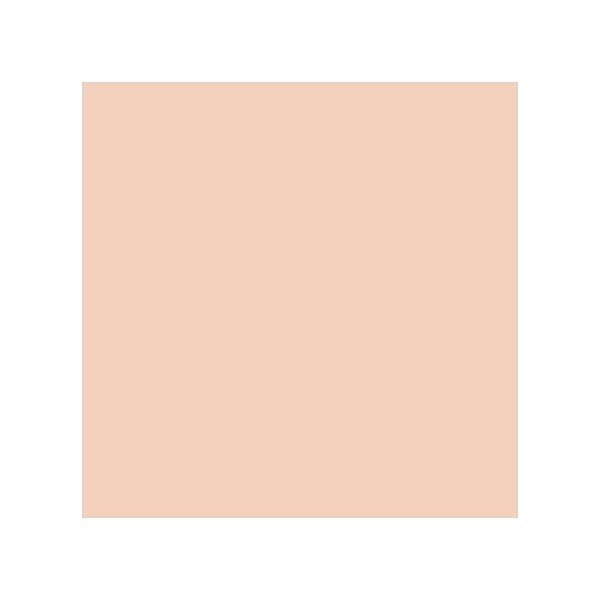 Colorbar 24Hrs Wear Weightless Powder Foundation Pf 3 9.5 gm - Compact Powder