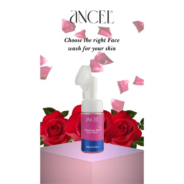 Ancel Himalayan Rose Foaming Face Wash 100 ml - Face Washes