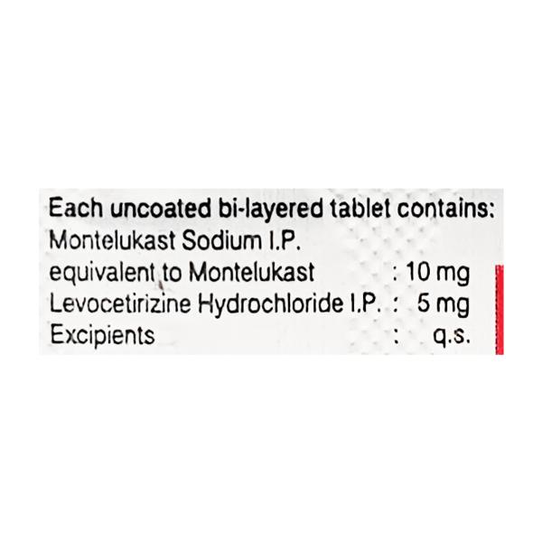 Zeez M Tablet 10'S - Allergies-Ant
