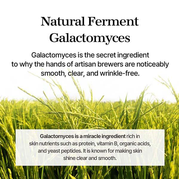 Mixsoon Premium Galactomyces Cream 50 ml - Face Moisturizers