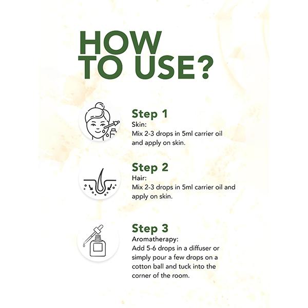 Clovia Botaniqa Ginger Essential Oil 10 ml - Essential Oils
