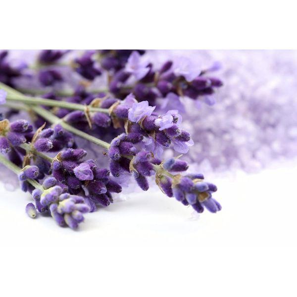 Wishcare 100% Eucalyptus Globulus Oil 15ml - Essential Oils