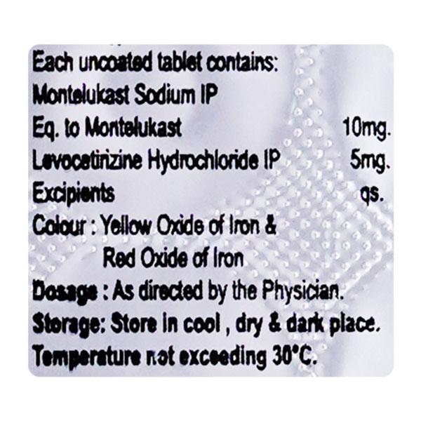 DUALMONT LC Tablet 10's - Allergies-Ant