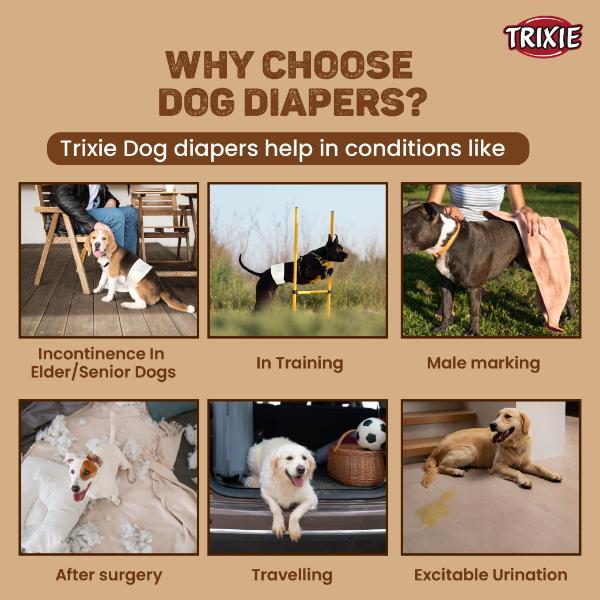 Trixie Diapers For Female Dogs M to L (36 to 52 cm) 12's - Pet accessories