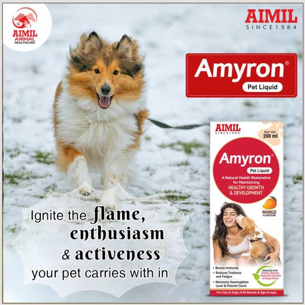 AIMIL Amyron PET Liquid 200 ml - Pet Healthcare