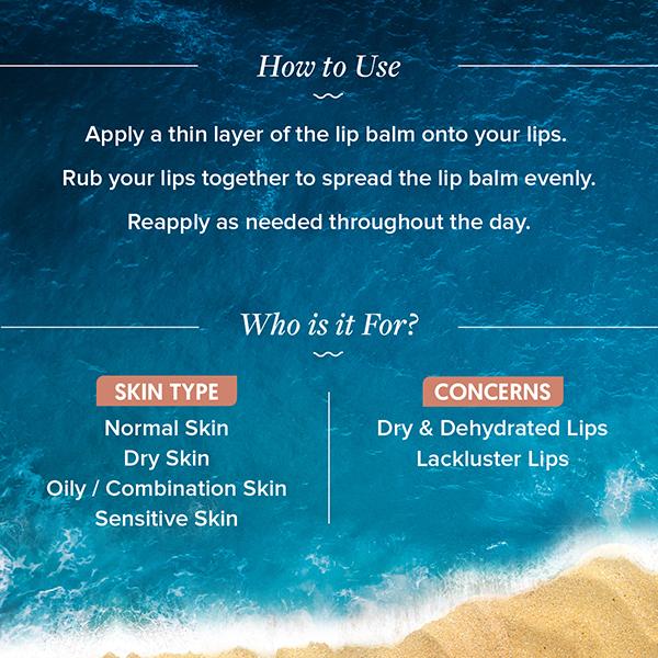 Aqualogica Coral Slush Plump + Luscious Tinted Lip Balm With Mango And Hyaluronic Acid 10 gm - Lip Balms