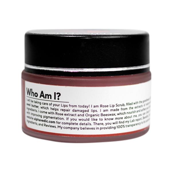 Alphavedic Rose Lip Scrub 15 gm - Lip Scrubs