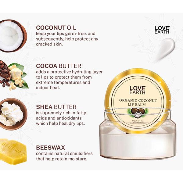 Love Earth Coconut Lip Balm An Ayurvedic Lip Moisturizer 10 gm - Lip Balms