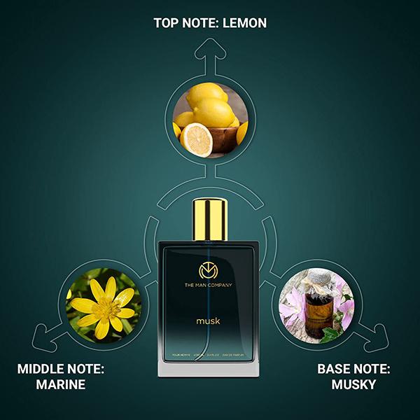 The Man Company Musk EDP for Men 100 ml - Men Perfumes (Edt/Edp)