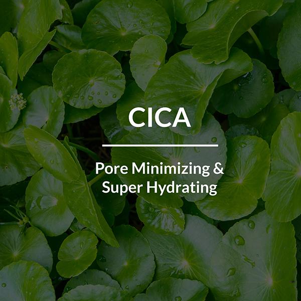 Lotus Botanicals CICA Pore Minimizing Face Gel, Minimize Acne Breakouts, All Skin Types 50 gm - Face Moisturizers