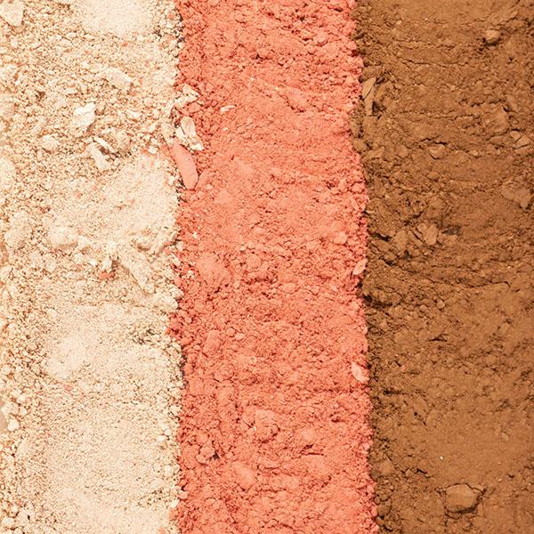 Pac Focus On Me (Light) 14.5 gm - Face Palettes