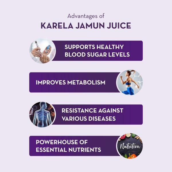 Baidyanath Karela Jamun Juice 1000 ml - Ayurvedic Juices