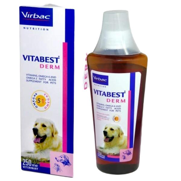 Netmeds | Virbac Vitabest Derm Dog Syrup 250 ml