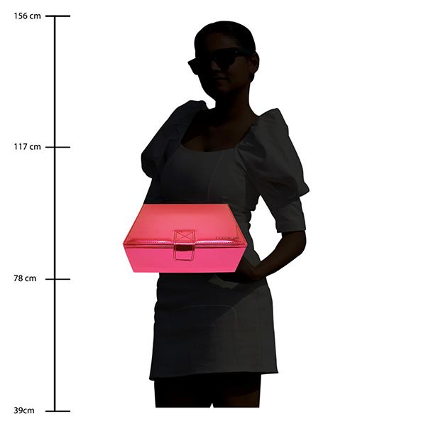 Colorbar Cosmic Trousseau Box - Deep Pink 1's - Makeup Bags & Cases