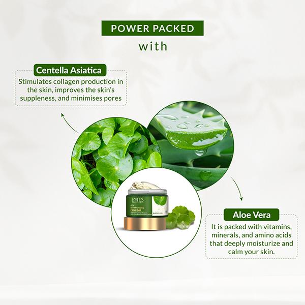 Lotus Botanicals CICA Pore Minimizing Face Gel, Minimize Acne Breakouts, All Skin Types 50 gm - Face Moisturizers