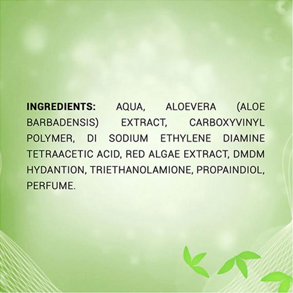 Alainne Aloe Vera Fbh Gel Tube Moisturizer 100 gm - Creams/Oils/Lotions