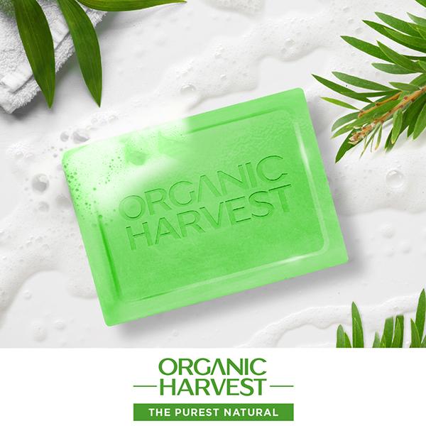 Organic Harvest Luxurious Bathing Bar - Tea Tree Soap Bar for Clear Skin, Soap to Prevent Body Acne 125 gm - Soaps