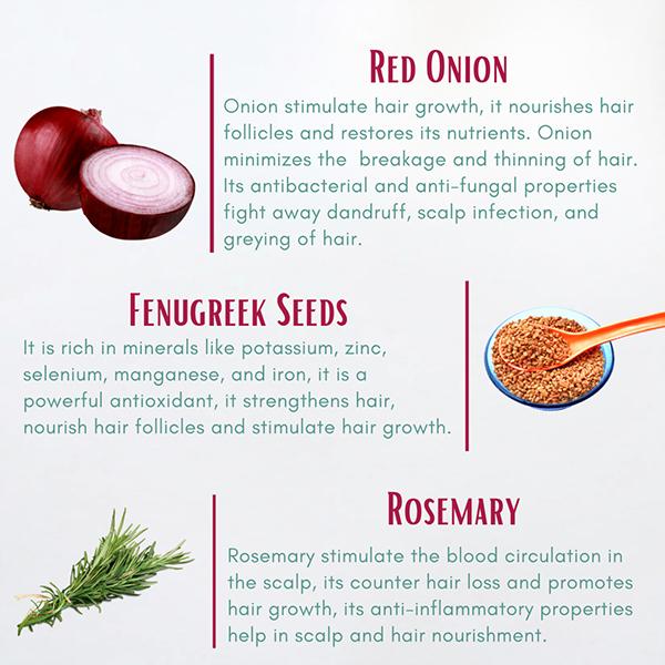 Aegte Premium Onion Hair Oil 100 ml - Hair Oils
