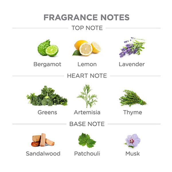 Yardley London Gentleman Urbane Eau De Toilette 50 ml - Men Perfumes (Edt/Edp)