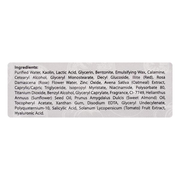 The Natural Wash Tomato Clay Mask 50 gm - Lip Stains & Tints
