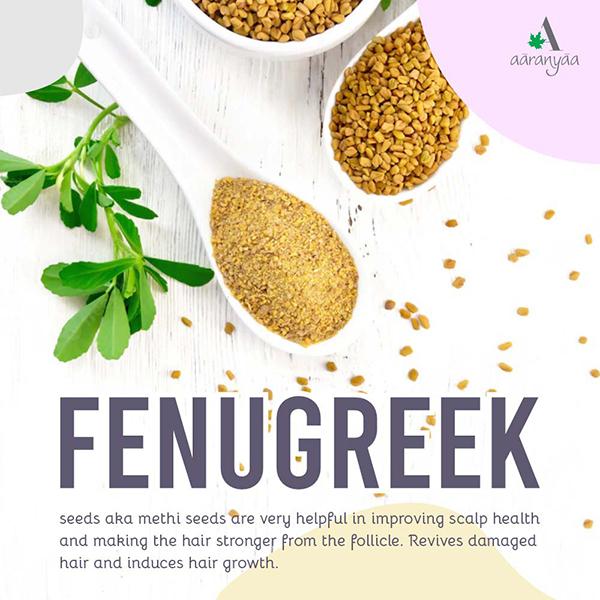 Aaranyaa Nourishing Hair Conditioner Methi 250 ml - Conditioners