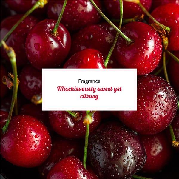 Plum Bodylovin' Drivin' Me Cherry Body Butter 200 Gm - Body Butter