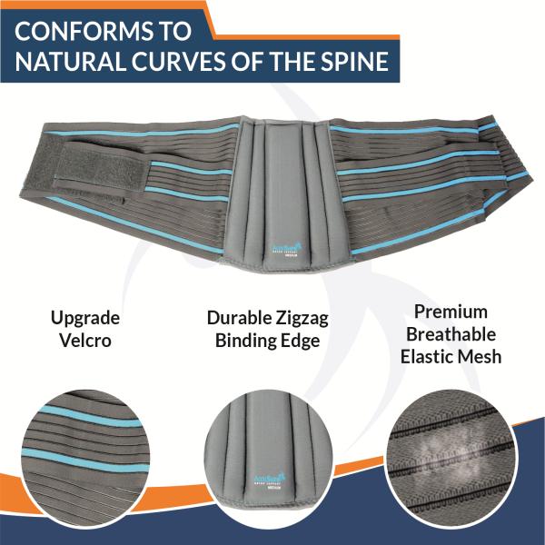 AccuSure Lumbo Support Belt (L) 1's - Knee/Leg Supports