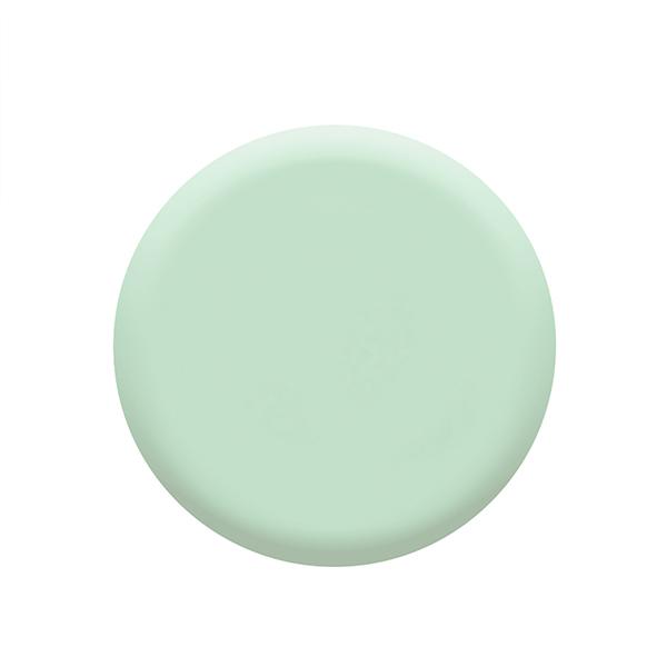 Colorbar Quiet Green - (1113) 12 ml - Nail Polish
