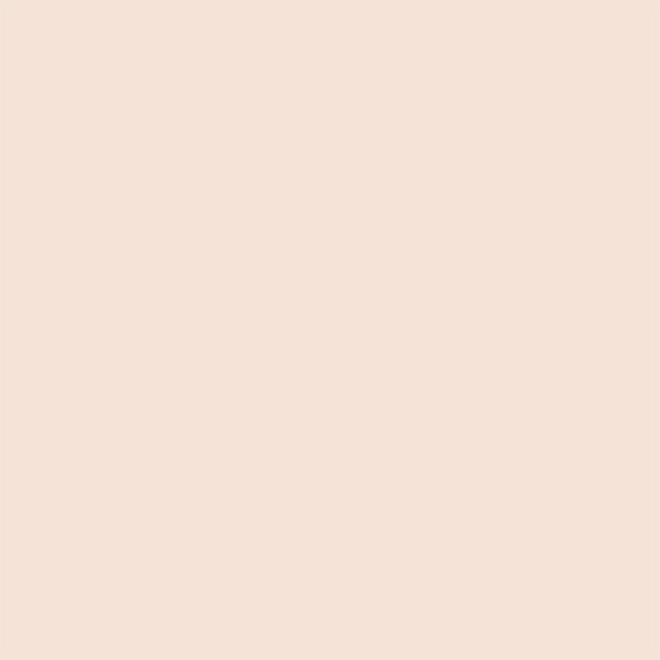 Renee Cosmetics Everyday Compact 01 8 gm - Compact Powder