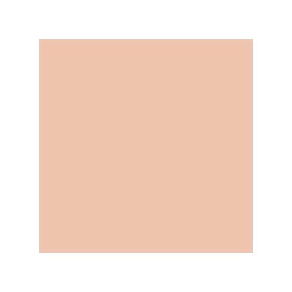 Colorbar 24Hrs Wear Weightless Powder Foundation Pf 4 9.5 gm - Compact Powder