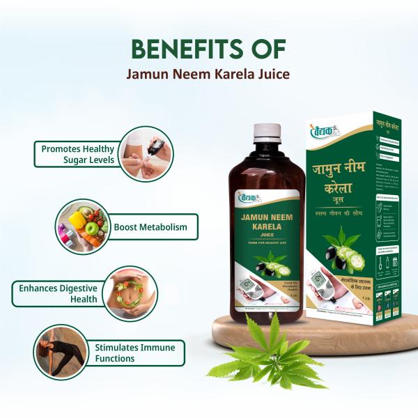 Swadeshi Jamun Neem Karela Juice 1000 ml - Ayurvedic Juices