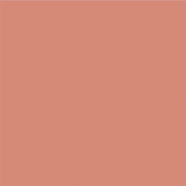 Pac Spotlight Blush (Screenplay) 10.6 gm - Blushes