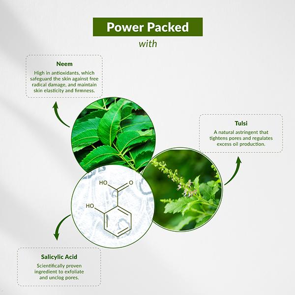Lotus Botanicals Neem, Tulsi, Salicylic Acid Anti-Acne Purifying Face Gel, For Acne Prone Skin 50 gm - Face Moisturizers