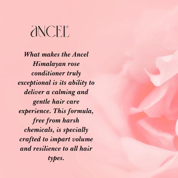 Ancel Himalayan Rose Conditioner 300 ml - Conditioners