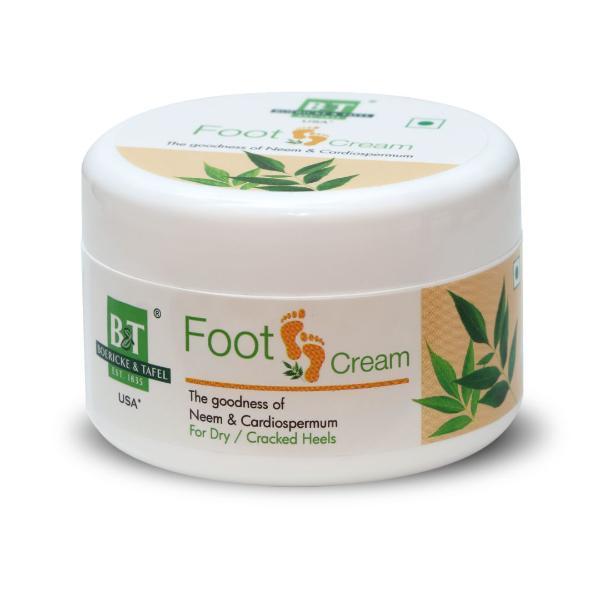 Netmeds | Dr.Willmar Schwabe B&T Foot Cream 100 g